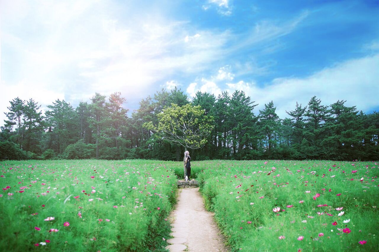 Akhee - Mabinogi Nao