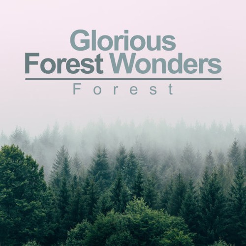 Forest - Glorious Forest Wonders - 2019