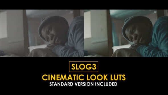 Slog3 Cinematic Look And Standard Color Luts - VideoHive 51047446