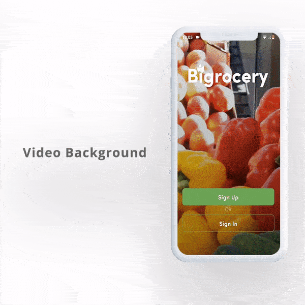 Flutter Grocery – Bigrocery in Flutter grocery app flutter template app - 2