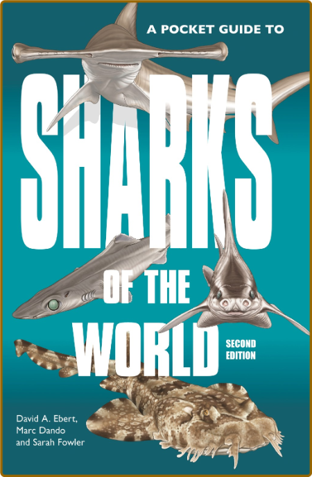 A Pocket Guide to Sharks of the World,  By Dr  David A  Ebert