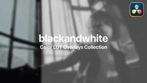 BlackWhite Color Presets - VideoHive 47728675