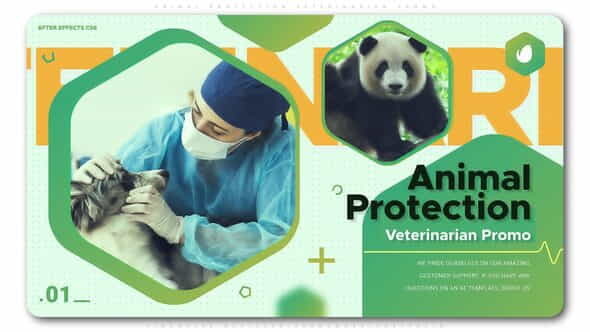 Animal Protection Veterinarian Promo - VideoHive 24939415