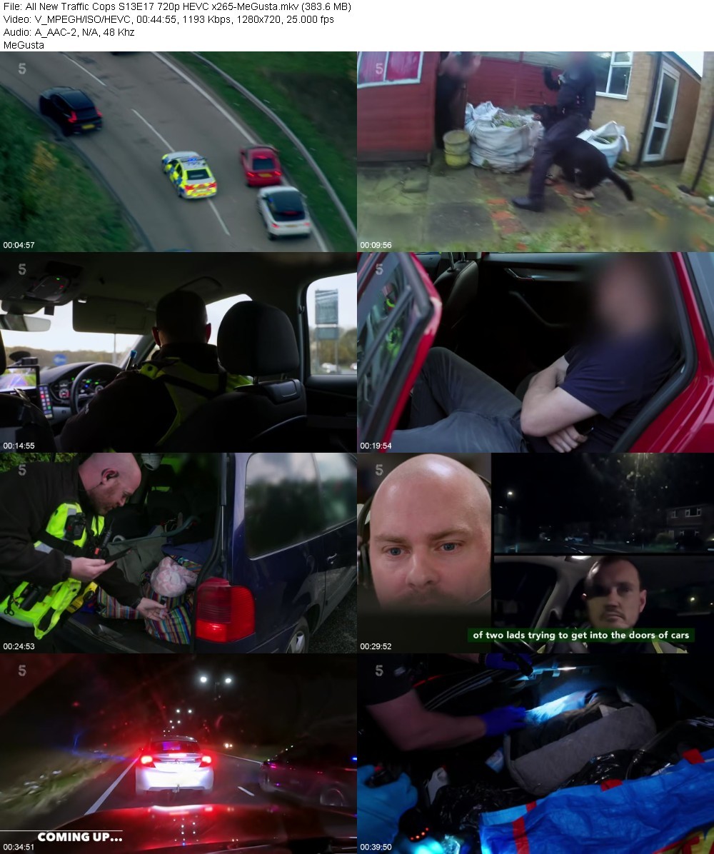 All New Traffic Cops S13E17 720p HEVC x265-MeGusta