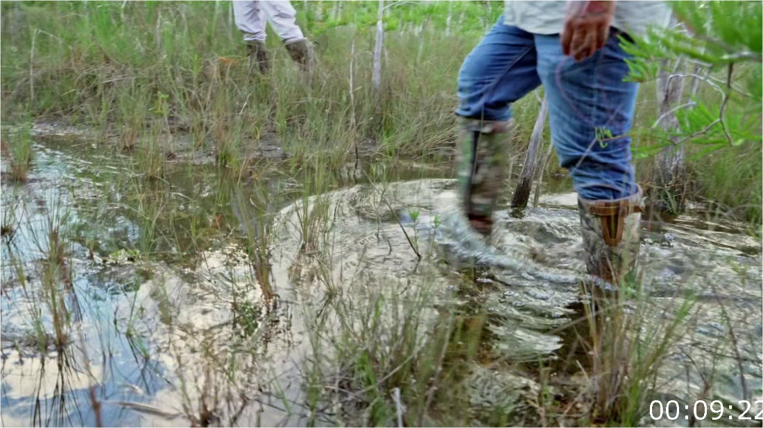 Swamp People Serpent Invasion S04E13 [1080p] (x265) BU9UJ644_o