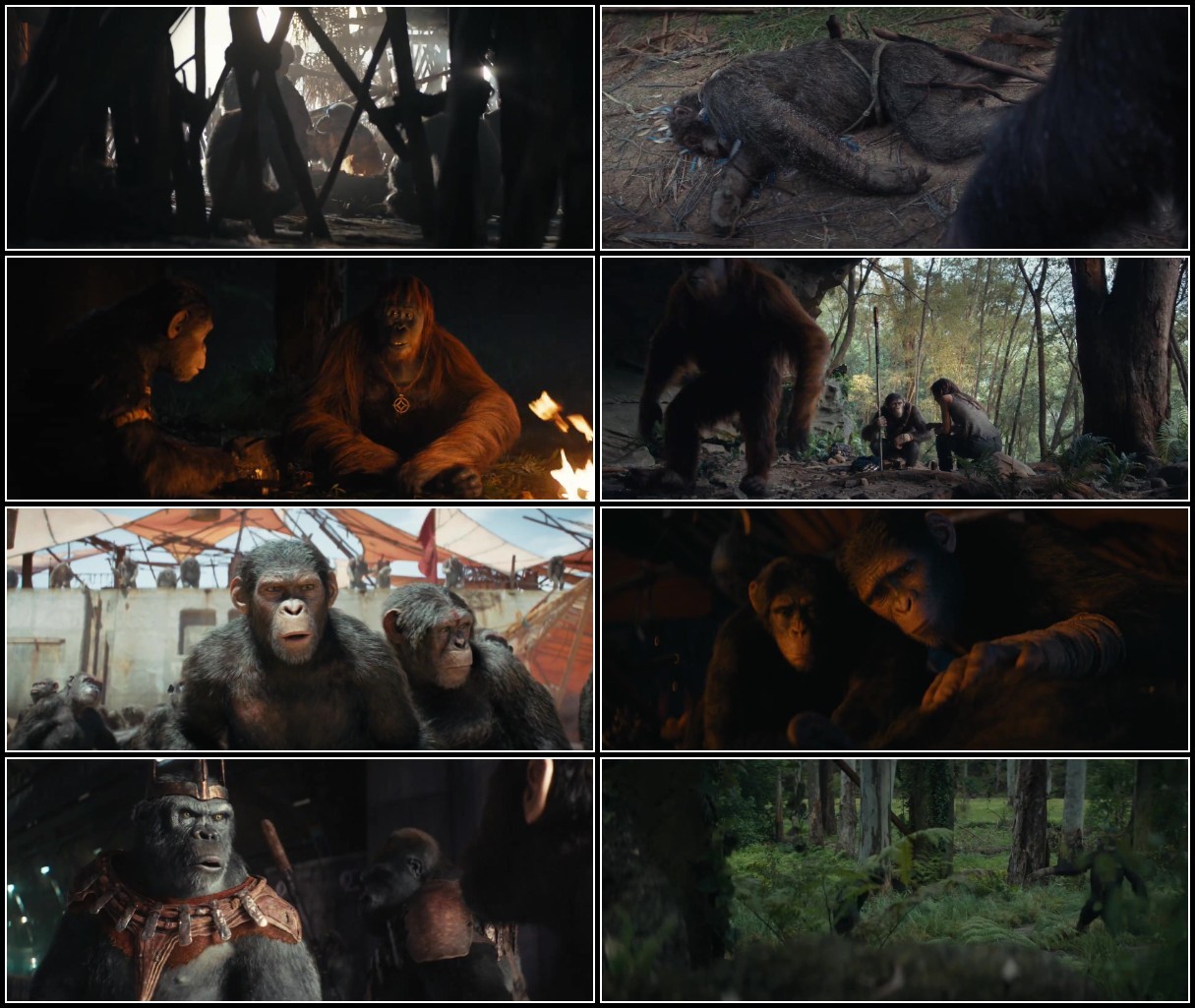 Kingdom Of The Planet Of The Apes (2024) 1080p WEBRip DD5 1 x264-GalaxyRG NOWkmPfw_o