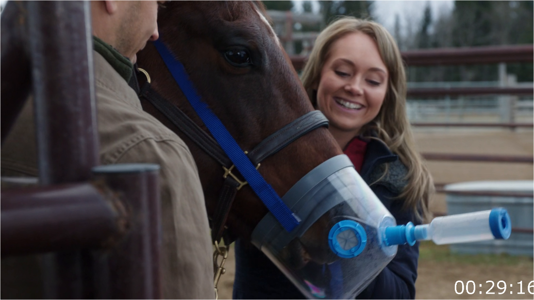 Heartland CA S09 [1080p] WEBrip (x265) [6 CH] WWou1Lu9_o