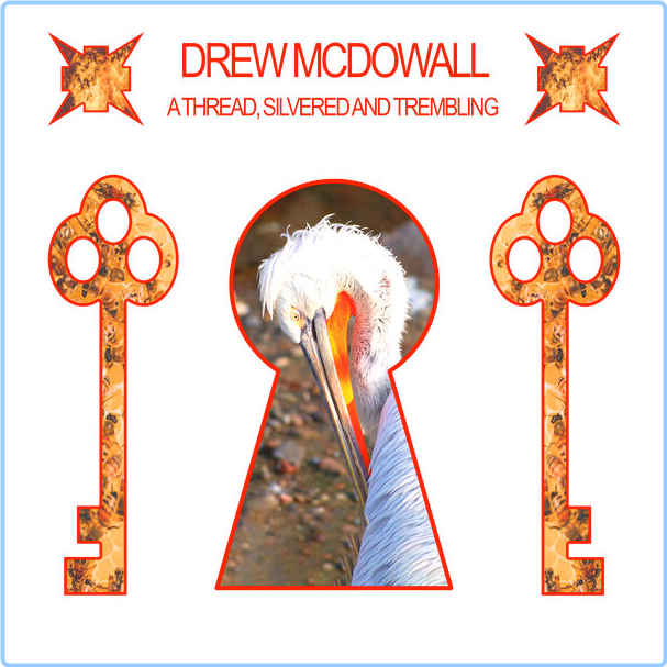 Drew McDowall A Thread Silvered And Trembling (2024) 24Bit 96kHz [FLAC] N14gJU1k_o