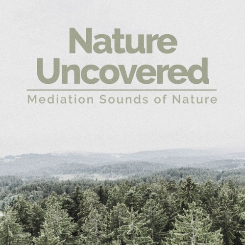 Mediation Sounds of Nature - Nature Uncovered - 2019