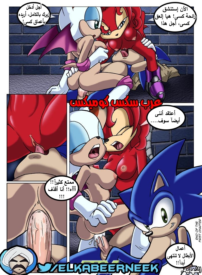 315 سونيك والبحث عن إيمى