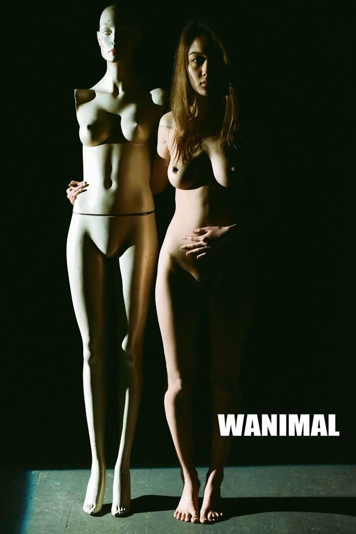 Wang Dong Wanimal produced no holy light human body set 3 20