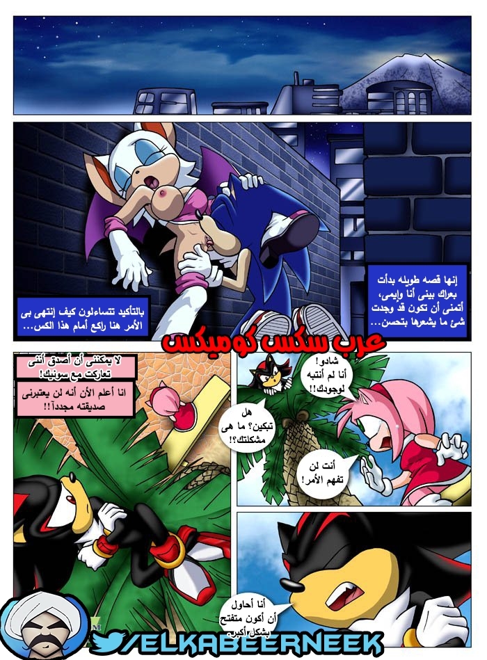 315 سونيك والبحث عن إيمى