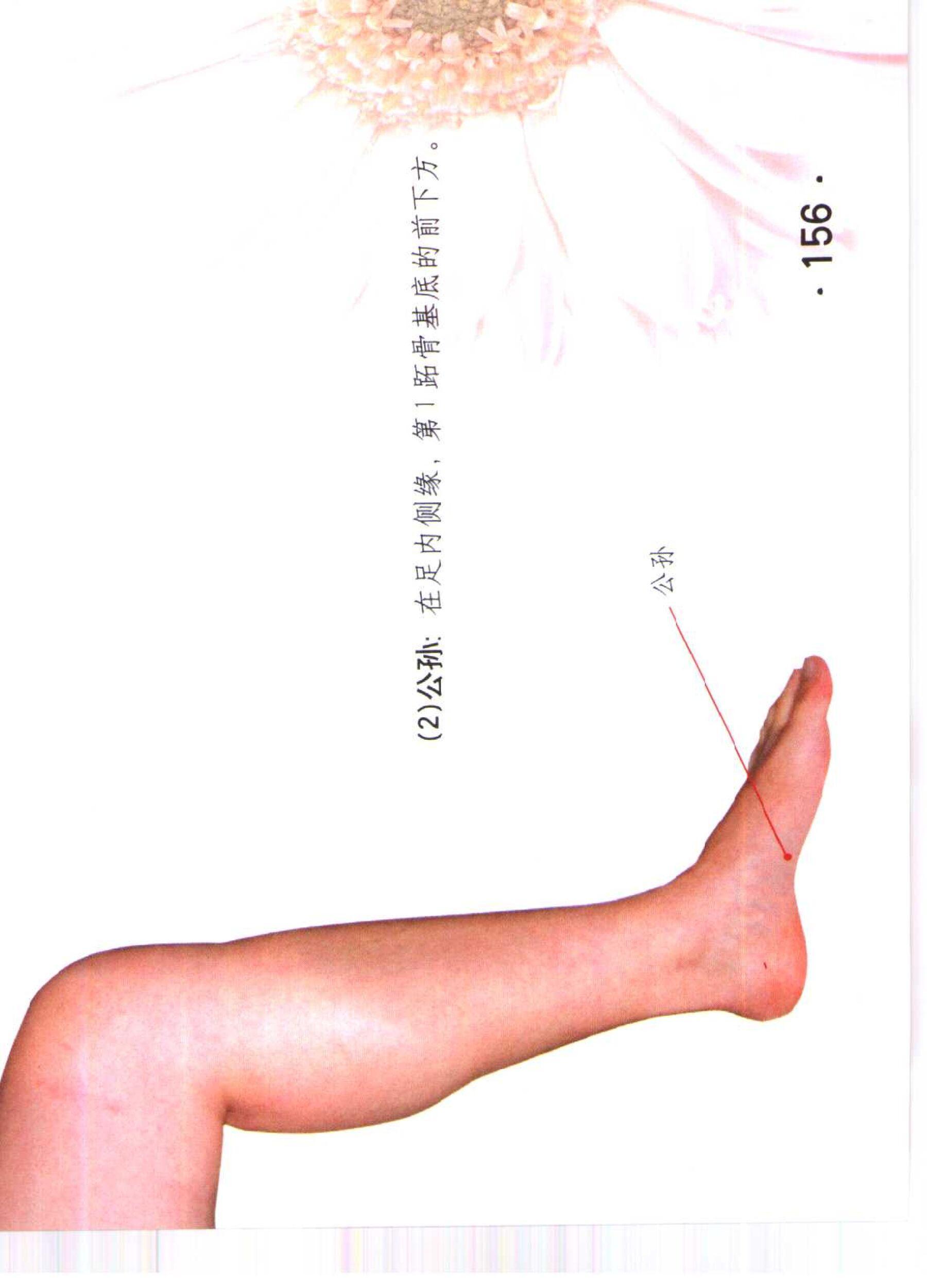 书籍扫描 乳房保健按摩彩色图谱(161)