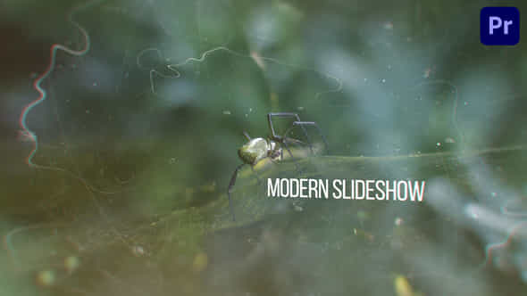 Modern Slideshow - VideoHive 37857493