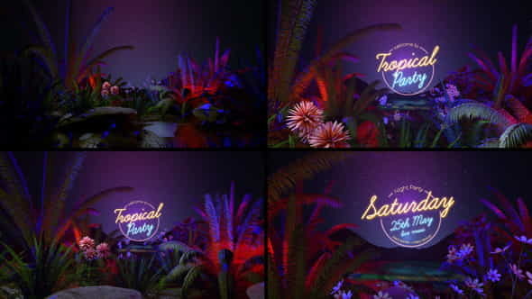 Tropical Party Opener - VideoHive 36113873