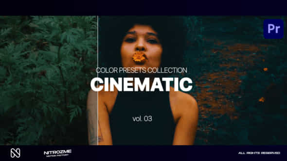 Cinematic LUT Collection - VideoHive 45239683