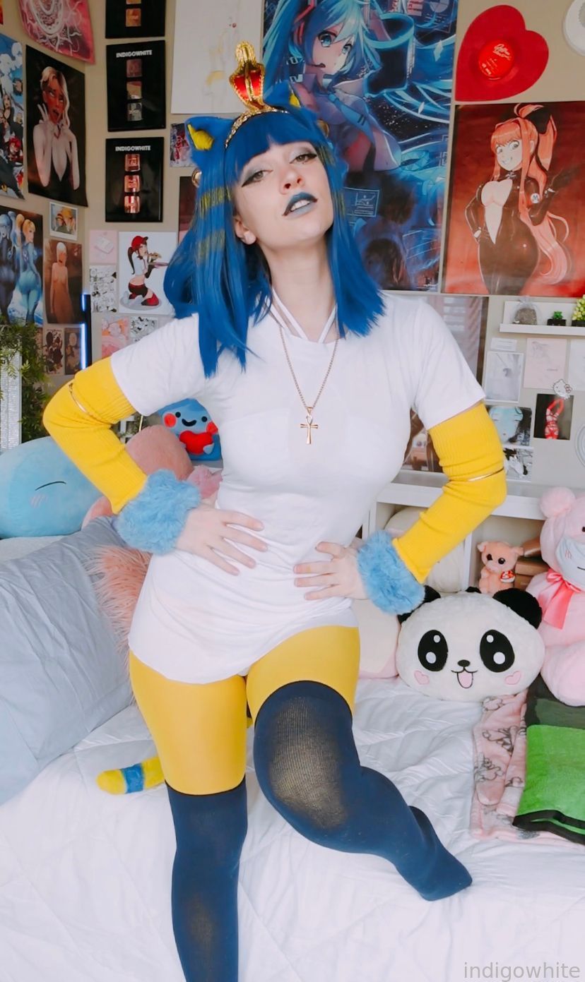 Indigo White - Ankha