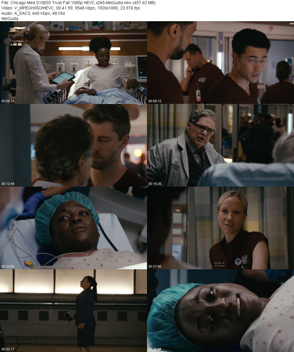 Chicago Med S10E03 Trust Fall 1080p HEVC x265-MeGusta