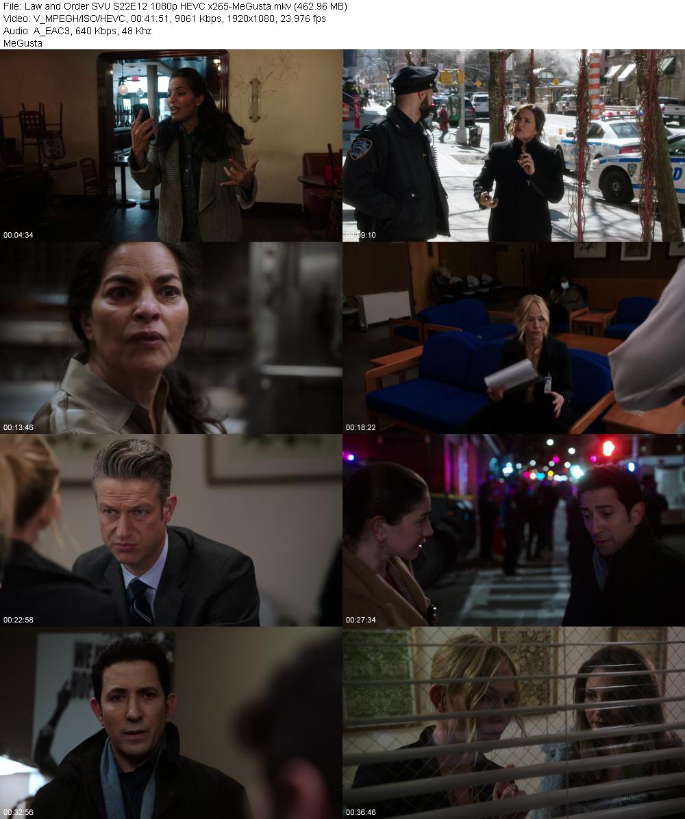 Law and Order SVU S22E12 1080p HEVC x265