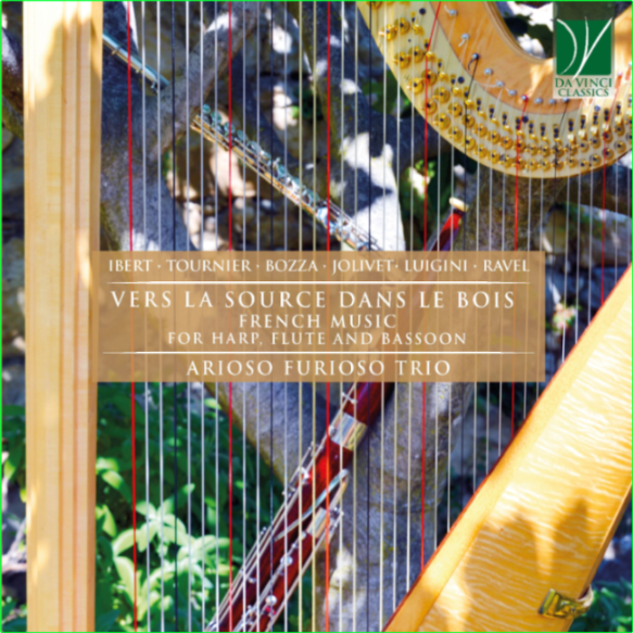 Arioso Furioso Trio Vers La Source Dans Le Bois (2024) WEB [FLAC] 16BITS 44 1KHZ WHbAB50v_o