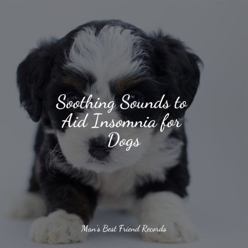 Calm Doggy - Soothing Sounds to Aid Insomnia for Dogs - 2022