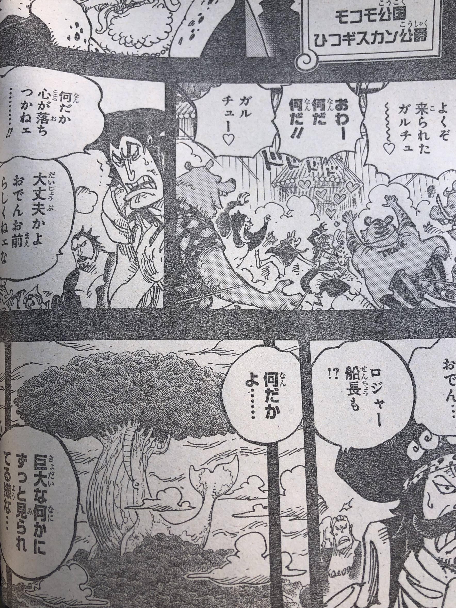 One Piece Spoilers 967 Z9F0vUFa_o