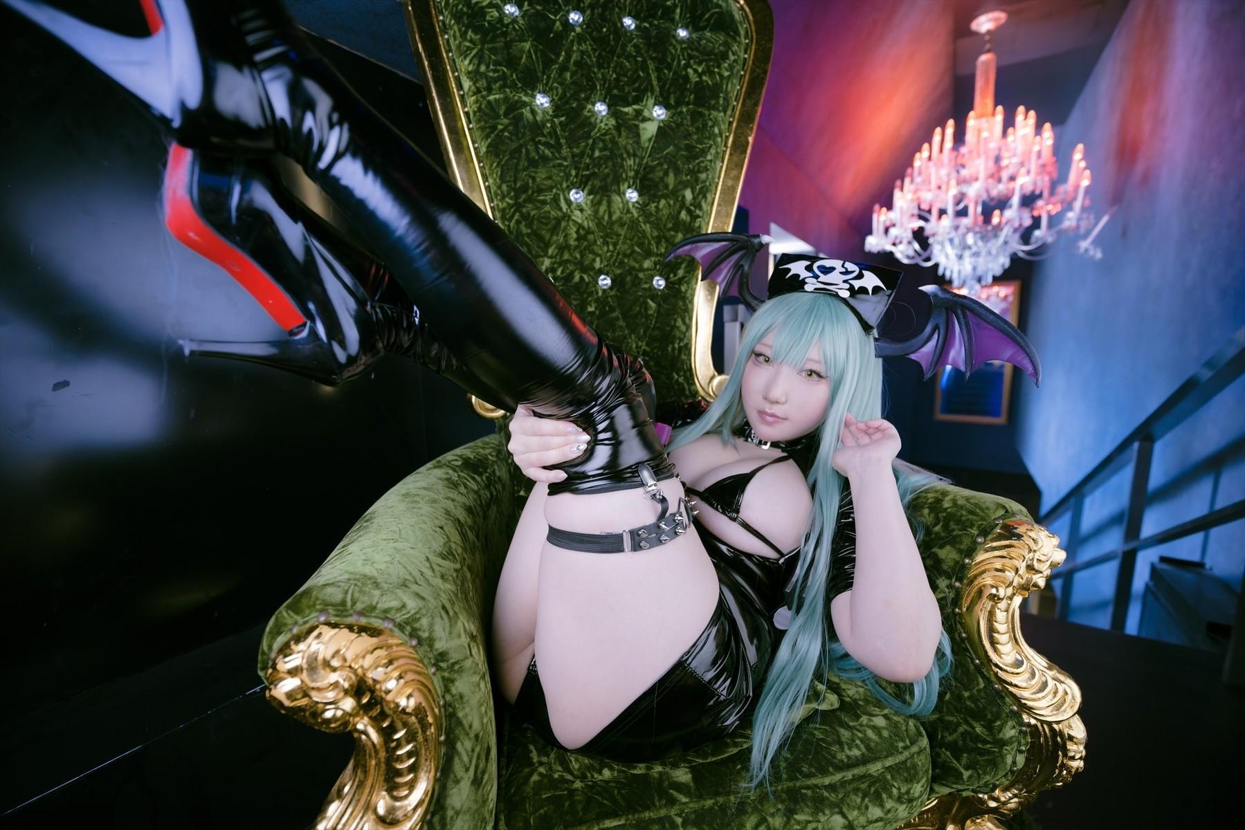 Cosplay SAKUサク Love builder Darkstalkers Set.01(25)