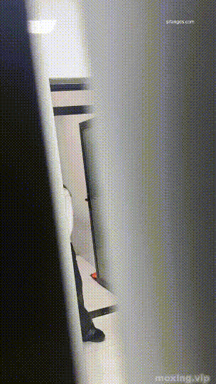 image host