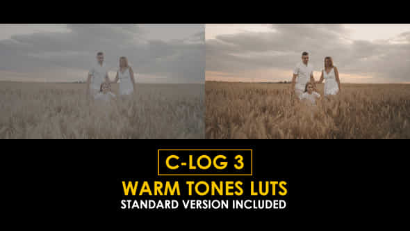 Clog3 Warm Tones And Standard Luts - VideoHive 51279935