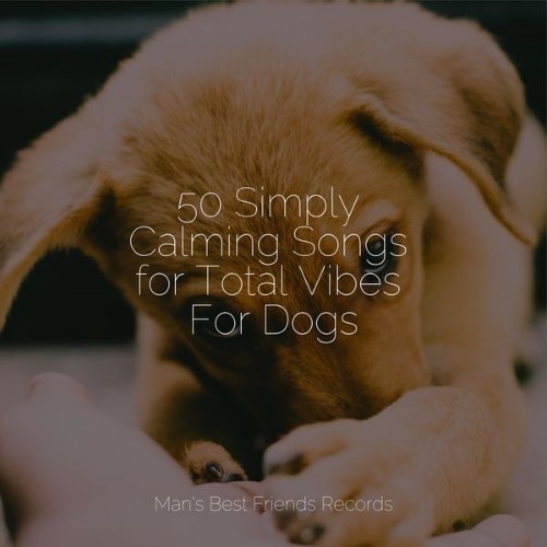 Calming Music for Dogs - 50 Simply Calming Songs for Total Vibes For Dogs - 2022
