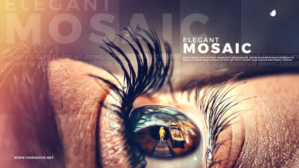 Elegant Mosaic - VideoHive 23381830