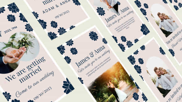 Wedding Invitation Instagram - VideoHive 44565469