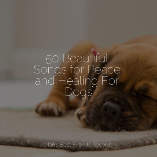 Music for Dog's Ears - 50 Beautiful Songs for Peace and Healing For Dogs - 2022