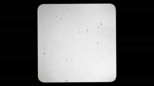 Reel Clutter Old Film Tape Frame - VideoHive 31653616
