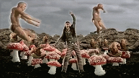 pwrwRdoz_o.gif