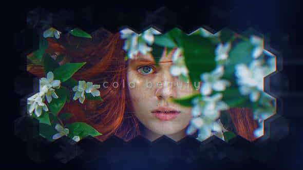 Cold Beauty - VideoHive 29260105