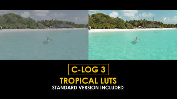 Clog3 Tropical And Standard Luts - VideoHive 51123340