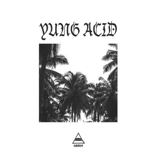 Yung Acid - Take Hip - 2016