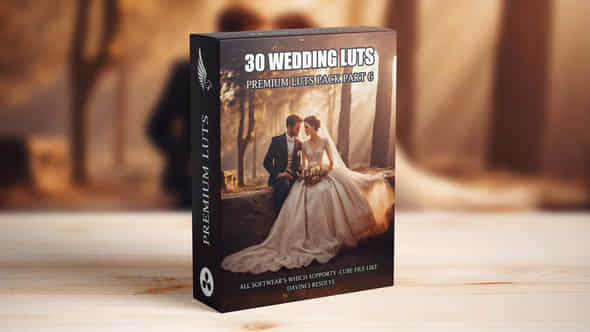 Top 30 Professional Cinematic Wedding Luts For Wedding Filmmakers Part 6 - VideoHive 49639785