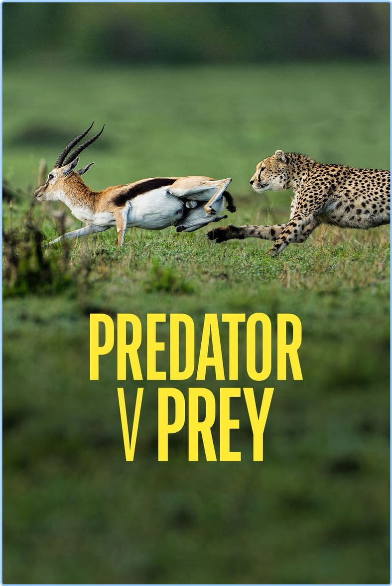 Predator V Prey S01[E01-E03] [1080p] (x265) [6 CH] RmZg5ymE_o