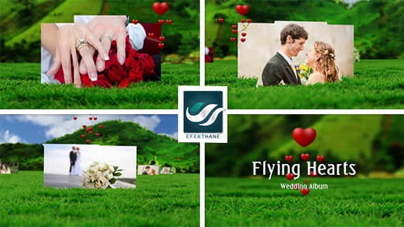 Flying Hearts Wedding Album - VideoHive 6623915
