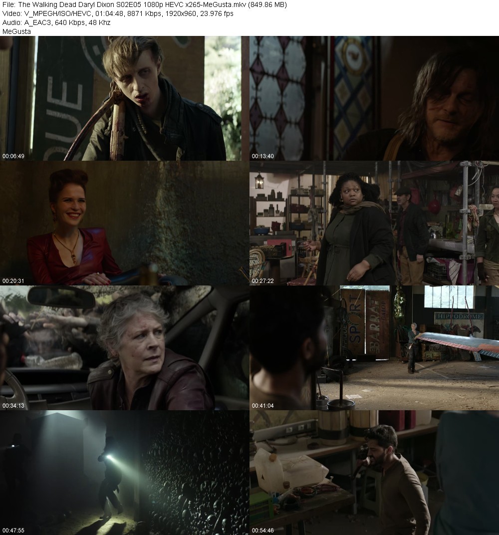 The Walking Dead Daryl Dixon S02E05 1080p HEVC x265-MeGusta