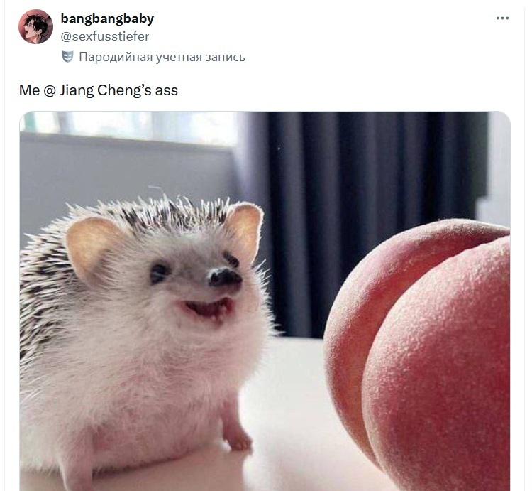 EWl6giAf_o.jpg