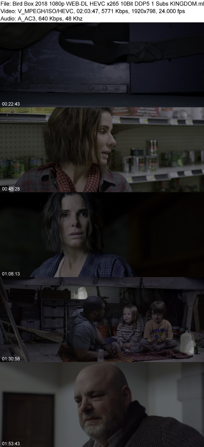 Bird Box 2018 1080p WEB-DL HEVC x265 10Bit DDP5 1 Subs KINGDOM RG 721wIcqD_o