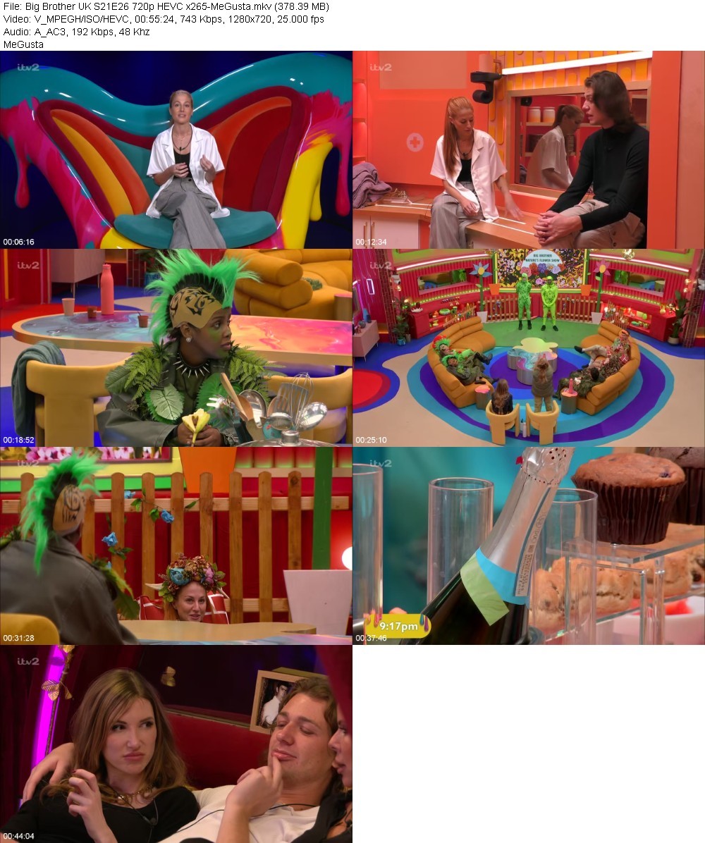 Big Brother UK S21E26 720p HEVC x265-MeGusta