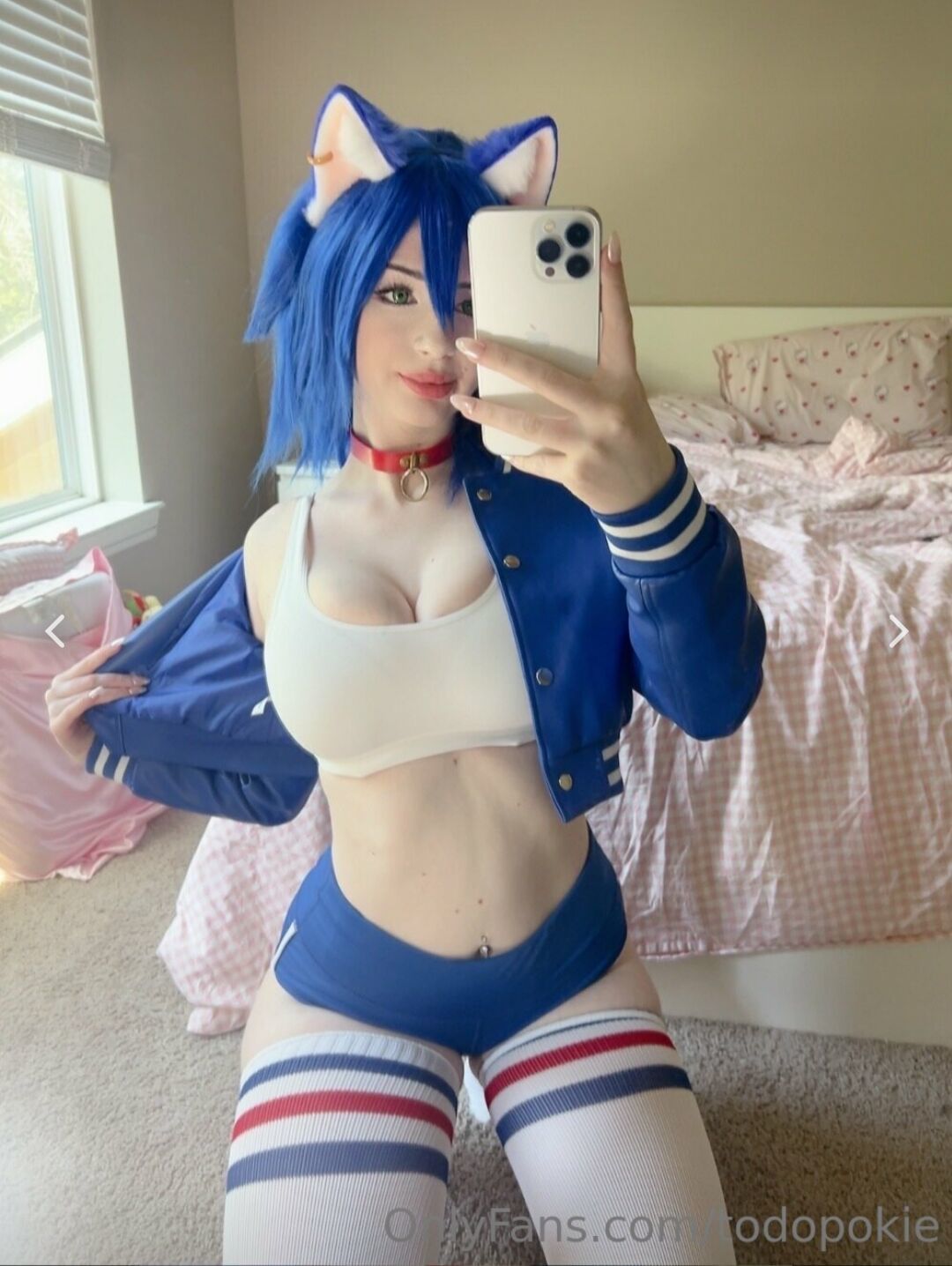 ᑕ ᑐ Todopokie - Sonic 2024