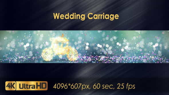 Wedding Carriage - VideoHive 20683060