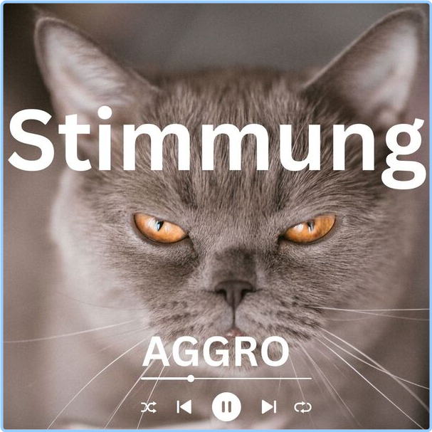 Various Artists - Stimmung - Aggro (2024) [320 Kbps] ERpc8EHF_o