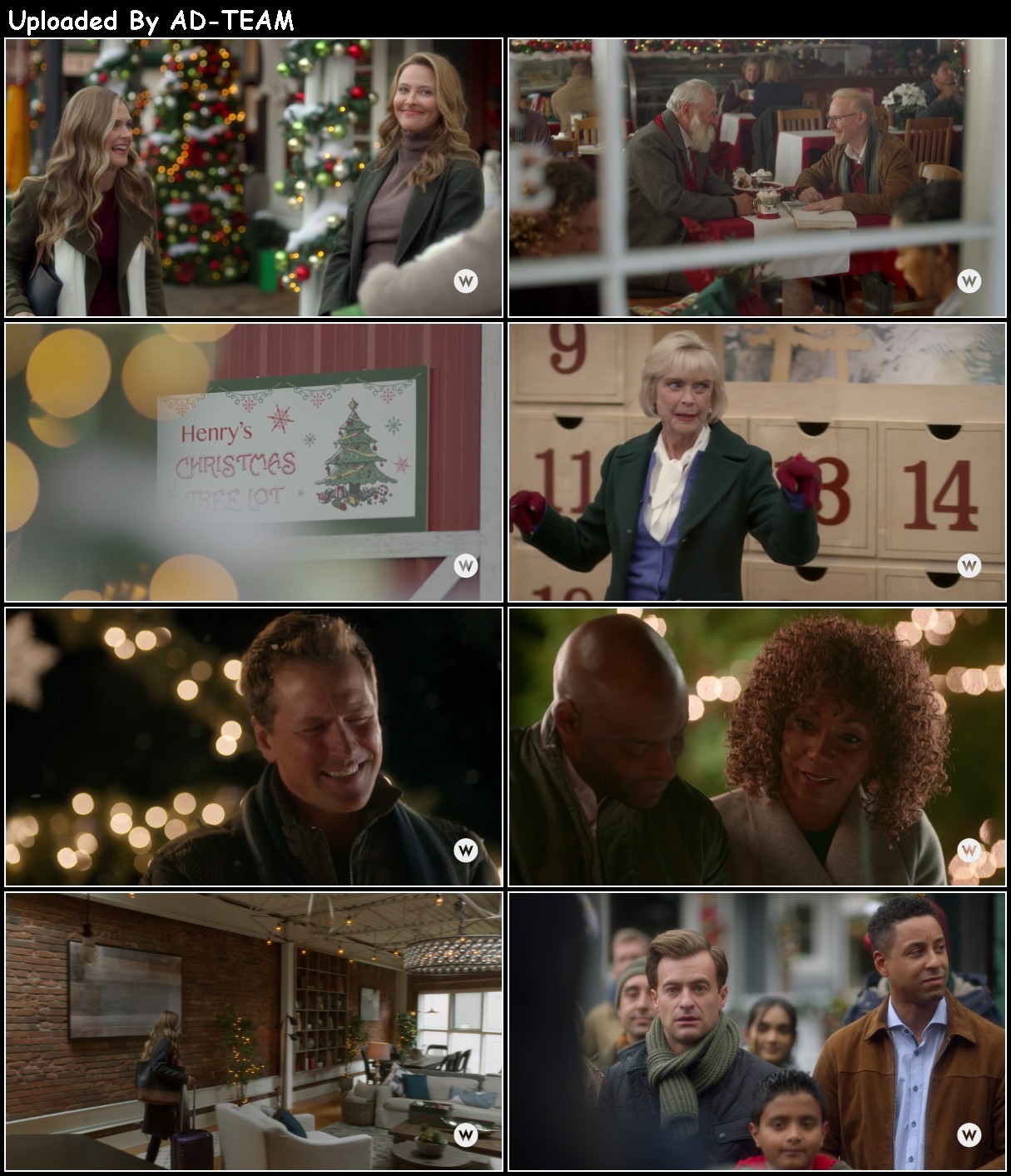 Christmas in Evergreen Tidings of Joy 2019 1080p WEBRip x265-RARBG EMf43Gmz_o