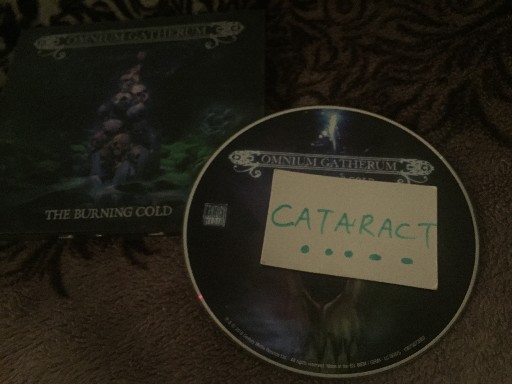 Omnium Gatherum-The Burning Cold-CD-FLAC-2018-CATARACT